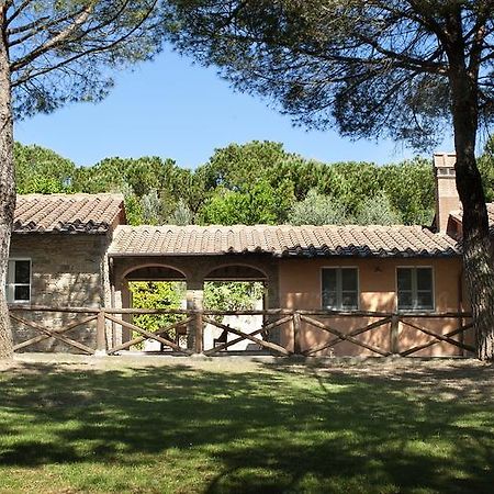 Podere Poggio Mendico Arezzo Exteriér fotografie