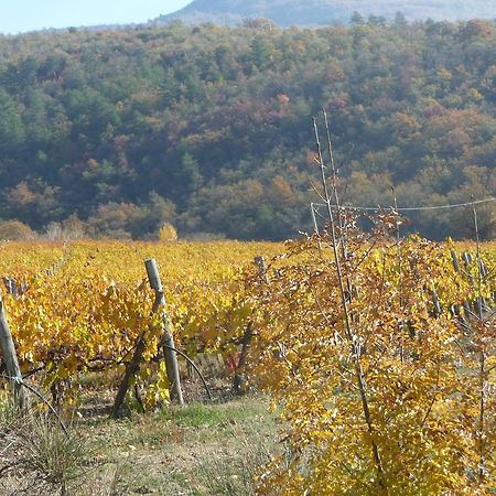 Podere Poggio Mendico Arezzo Exteriér fotografie