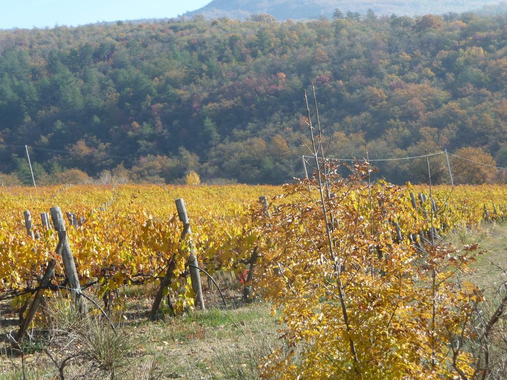 Podere Poggio Mendico Arezzo Exteriér fotografie